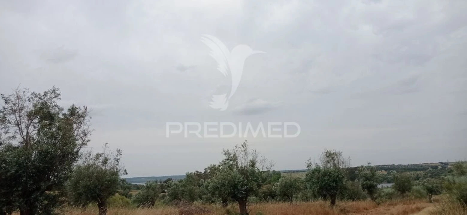 Terreno para Venda em Avis Foto 8