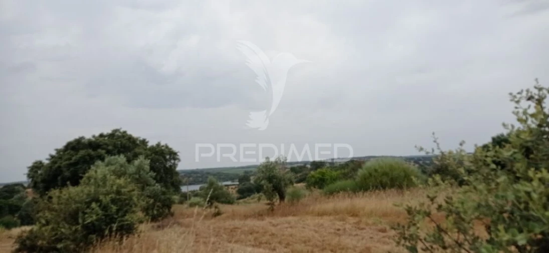 Terreno para Venda em Avis Foto 6