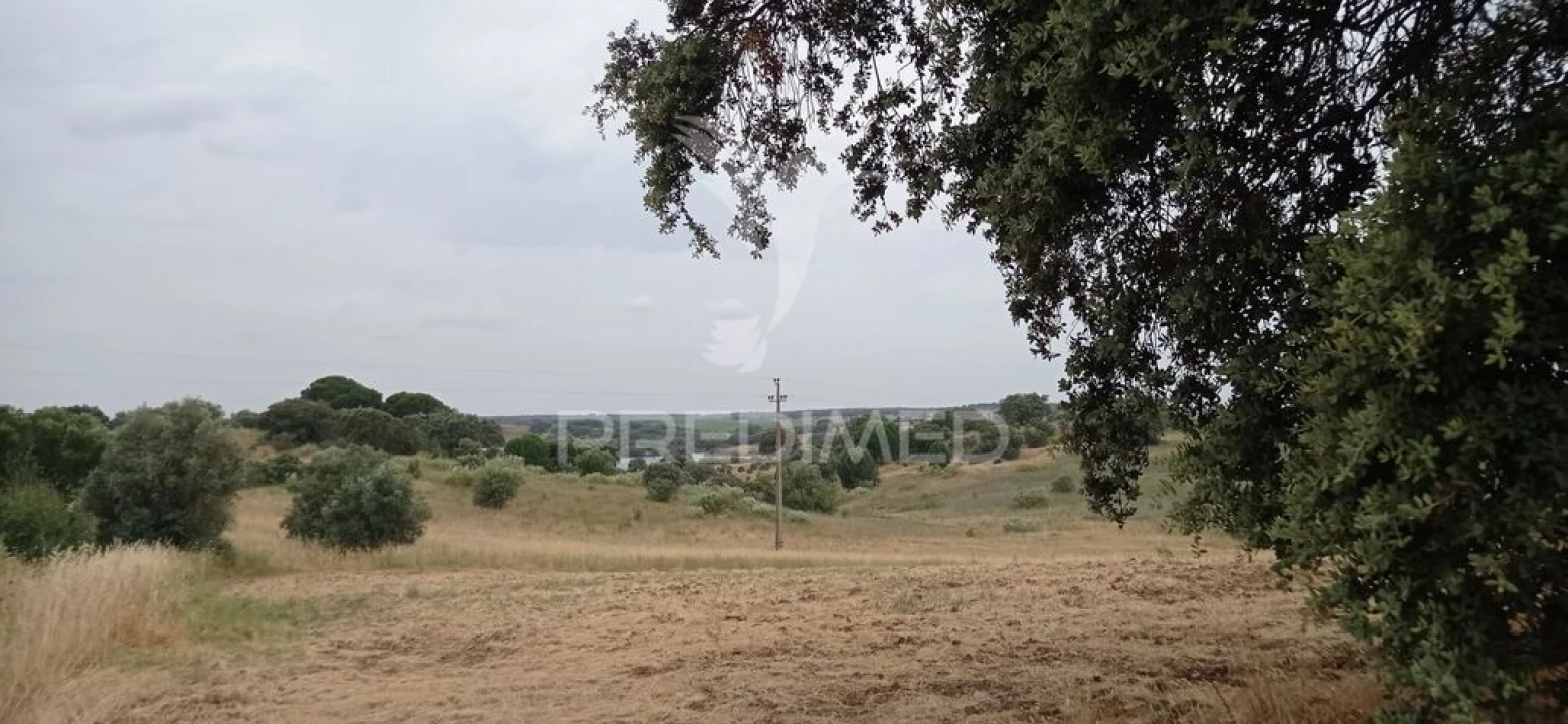 Terreno para Venda em Avis Foto 5