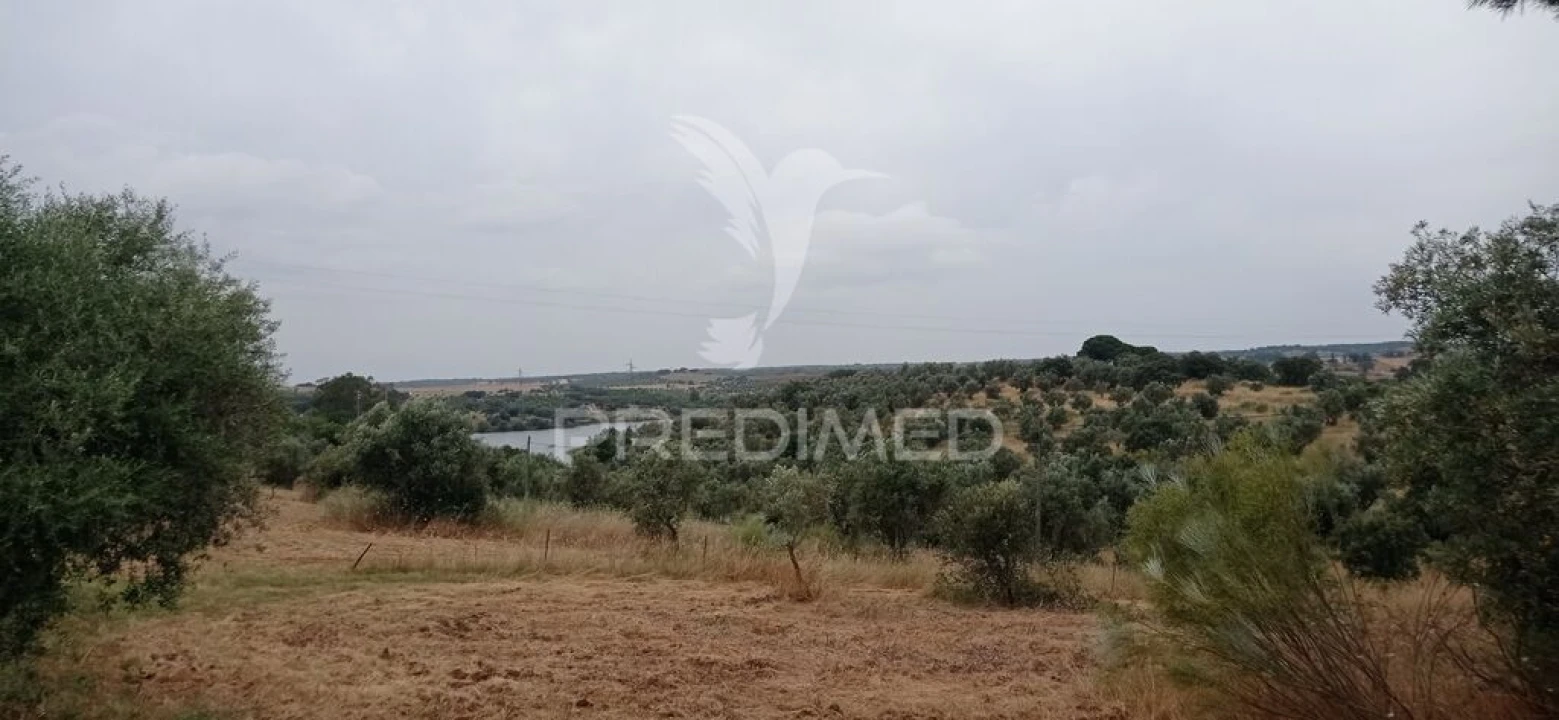 Terreno para Venda em Avis Foto 1