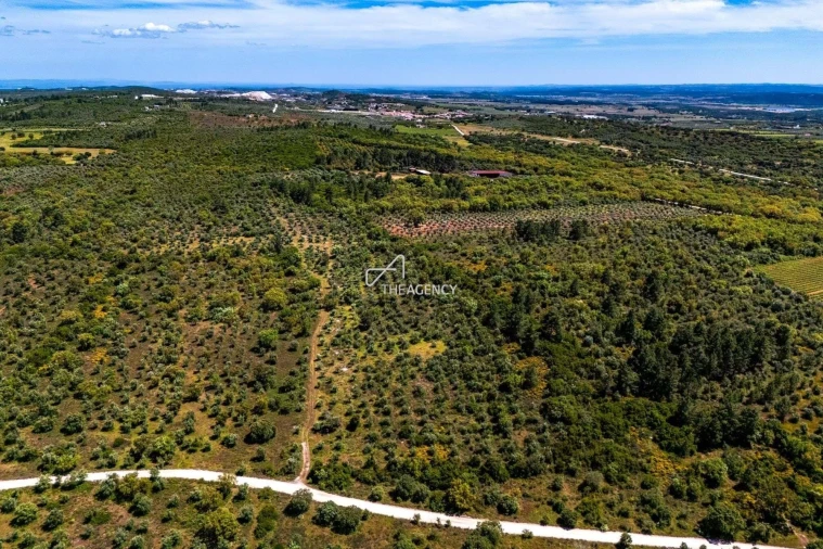 Terreno para Venda em Borba (Matriz) Foto 4