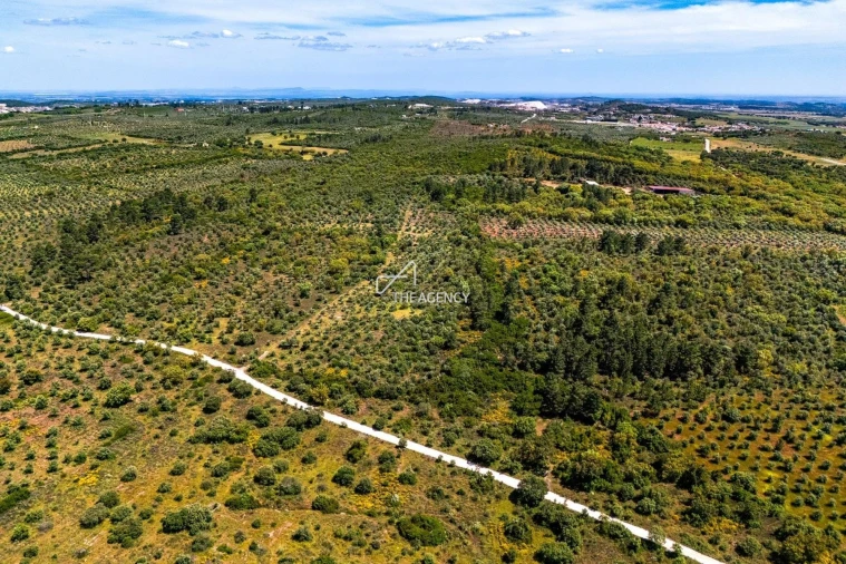 Terreno para Venda em Borba (Matriz) Foto 2