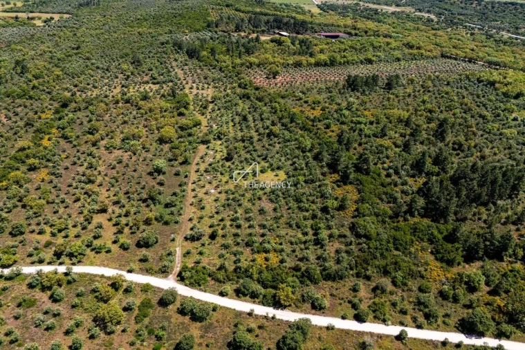 Terreno para Venda em Borba (Matriz)