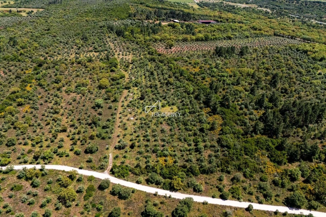 Terreno para Venda em Borba (Matriz) Foto 1