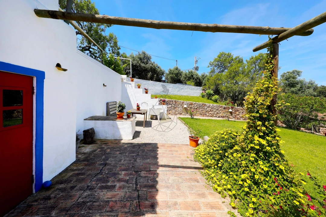 Quinta T3 para Venda em São Bartolomeu de Messines Foto 43