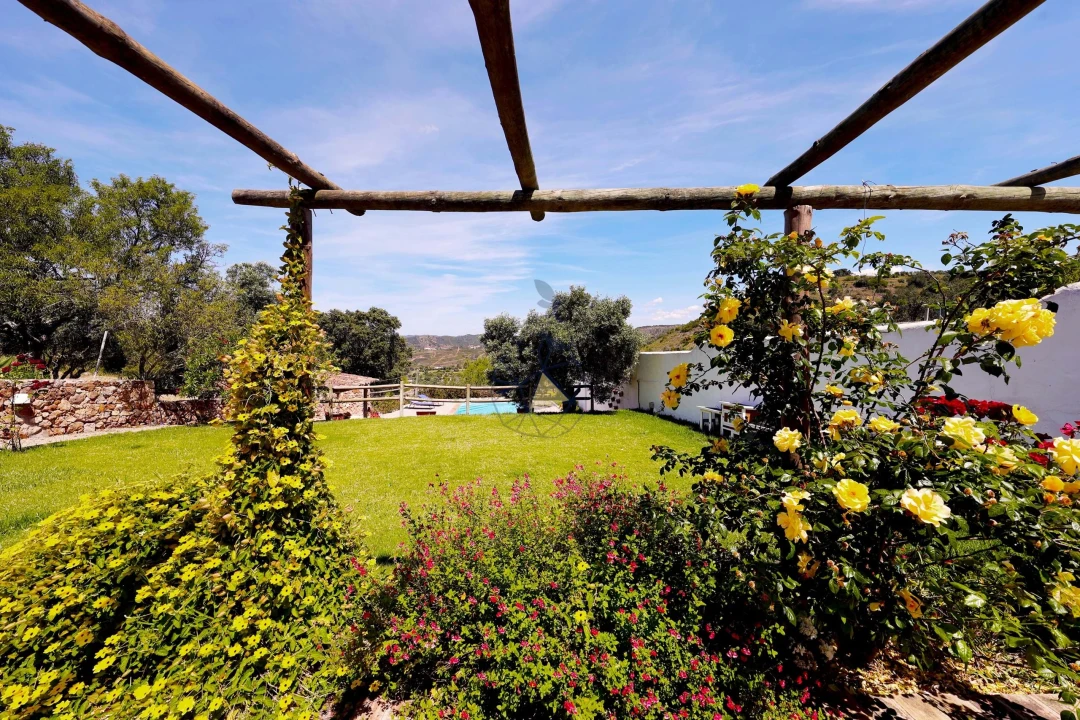 Quinta T3 para Venda em São Bartolomeu de Messines Foto 41