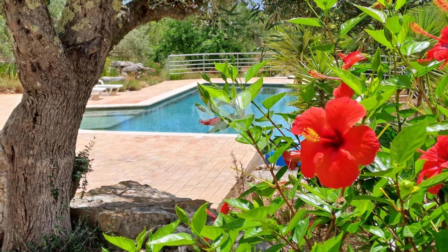 Moradia T3 para Venda em Santa Catarina da Fonte do Bispo Foto 30