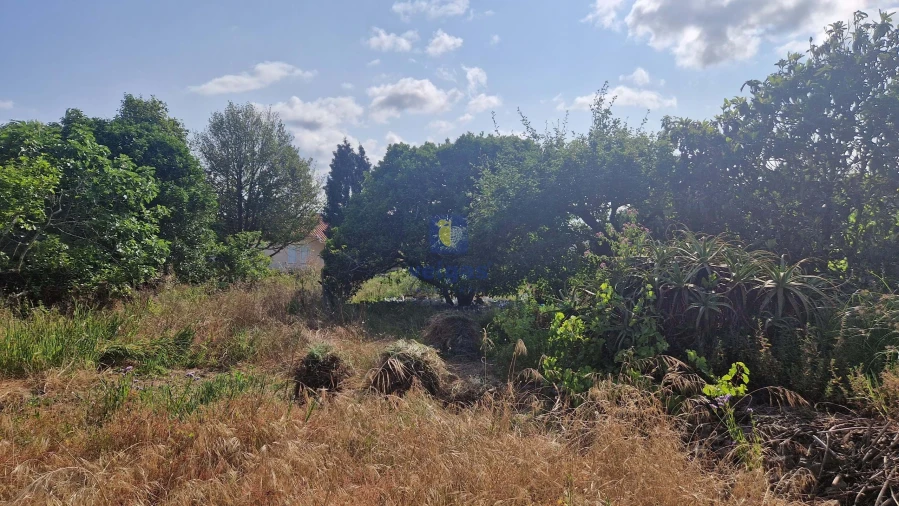 Armazém para Venda em Calvaria de Cima Foto 15