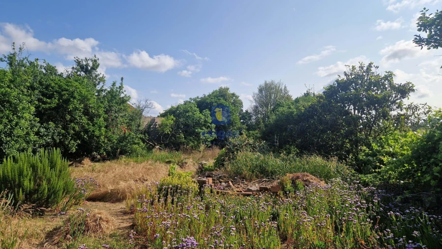 Armazém para Venda em Calvaria de Cima Foto 32