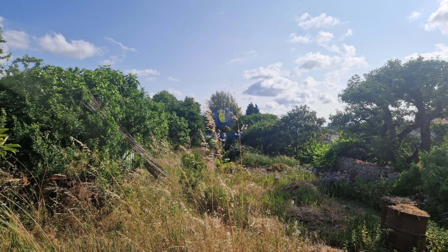 Armazém para Venda em Calvaria de Cima Foto 13