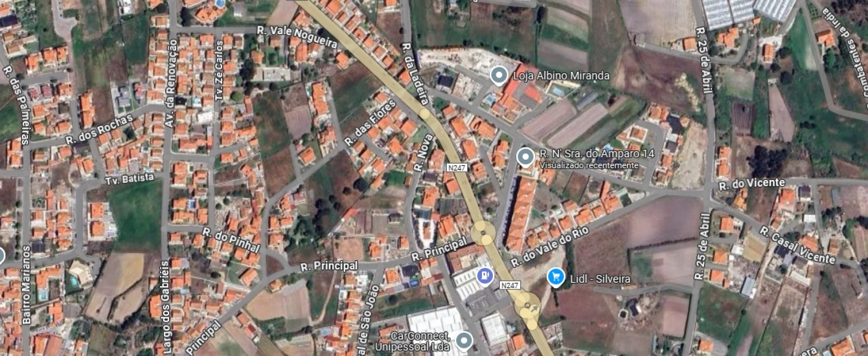 Terreno para Venda em Silveira Foto 9