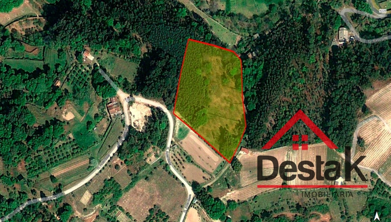 Terreno Agricola ou Rústico para Venda em Campo de Besteiros Foto 1