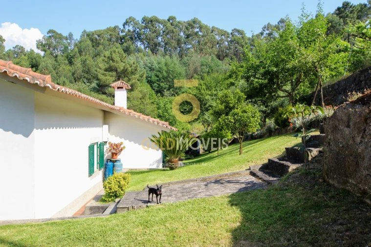 Moradia T3 para Venda em Mancelos Foto 35