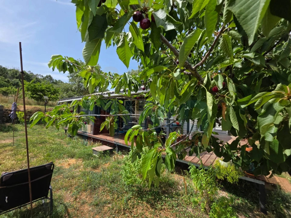 Quinta T0 para Venda em Vale Formoso e Aldeia do Souto Foto 61