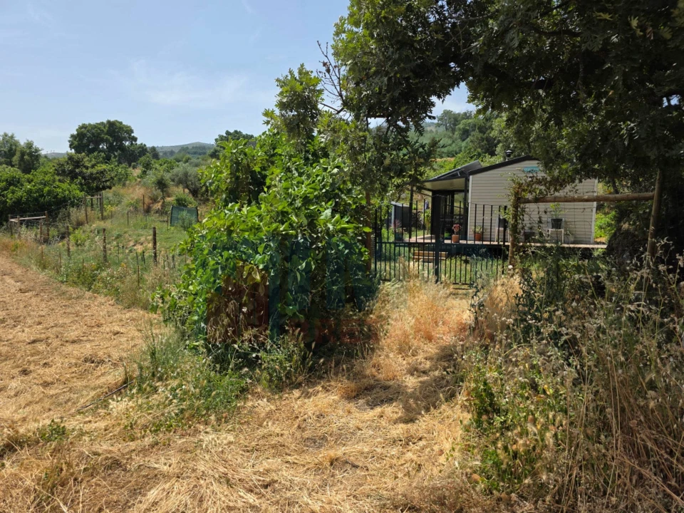 Quinta T0 para Venda em Vale Formoso e Aldeia do Souto Foto 35