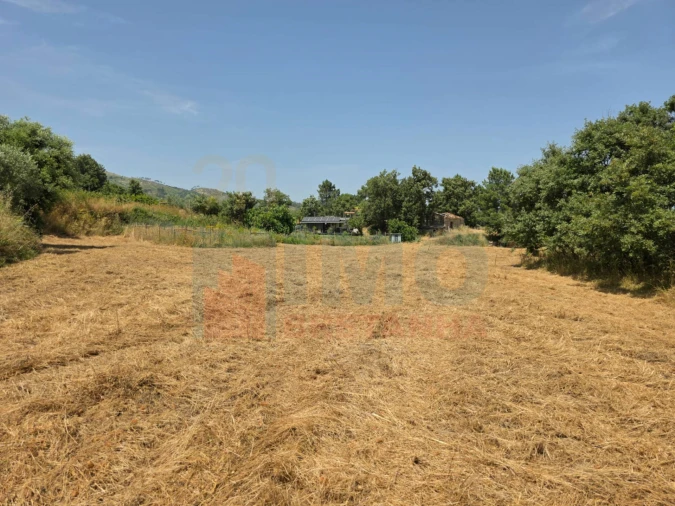 Quinta T0 para Venda em Vale Formoso e Aldeia do Souto Foto 43