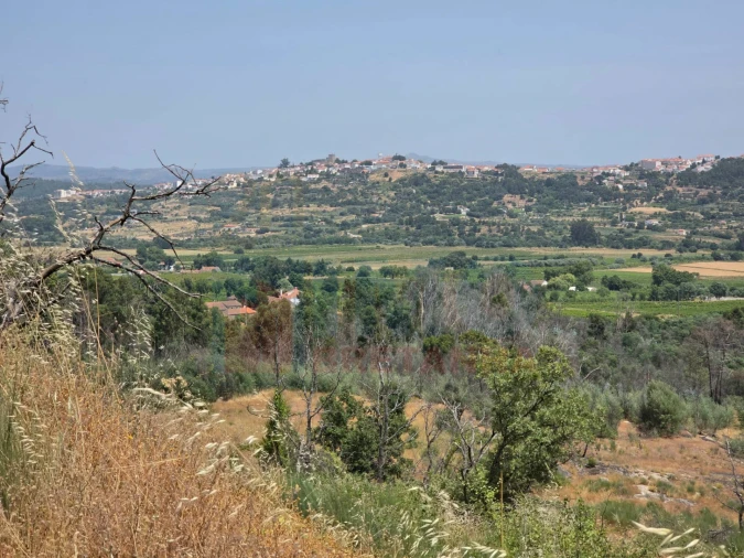 Quinta T0 para Venda em Vale Formoso e Aldeia do Souto Foto 48