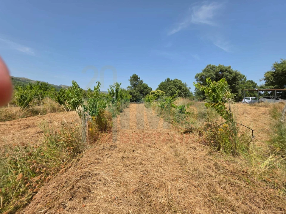 Quinta T0 para Venda em Vale Formoso e Aldeia do Souto Foto 40