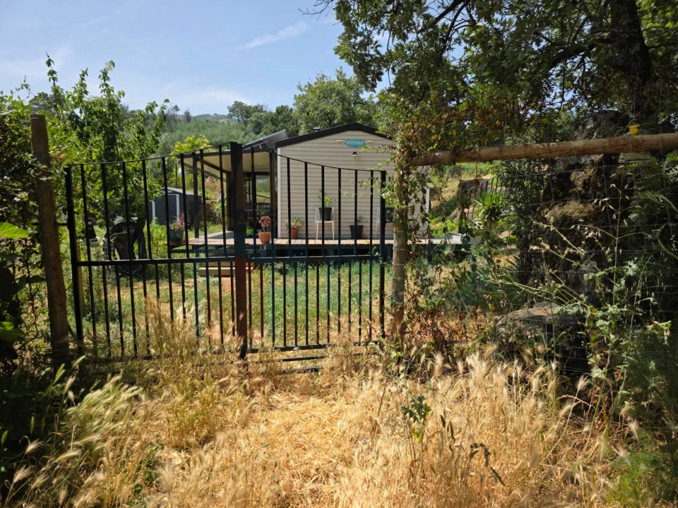 Quinta T0 para Venda em Vale Formoso e Aldeia do Souto Foto 13