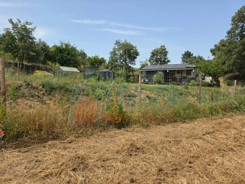 Quinta T0 para Venda em Vale Formoso e Aldeia do Souto Foto 53