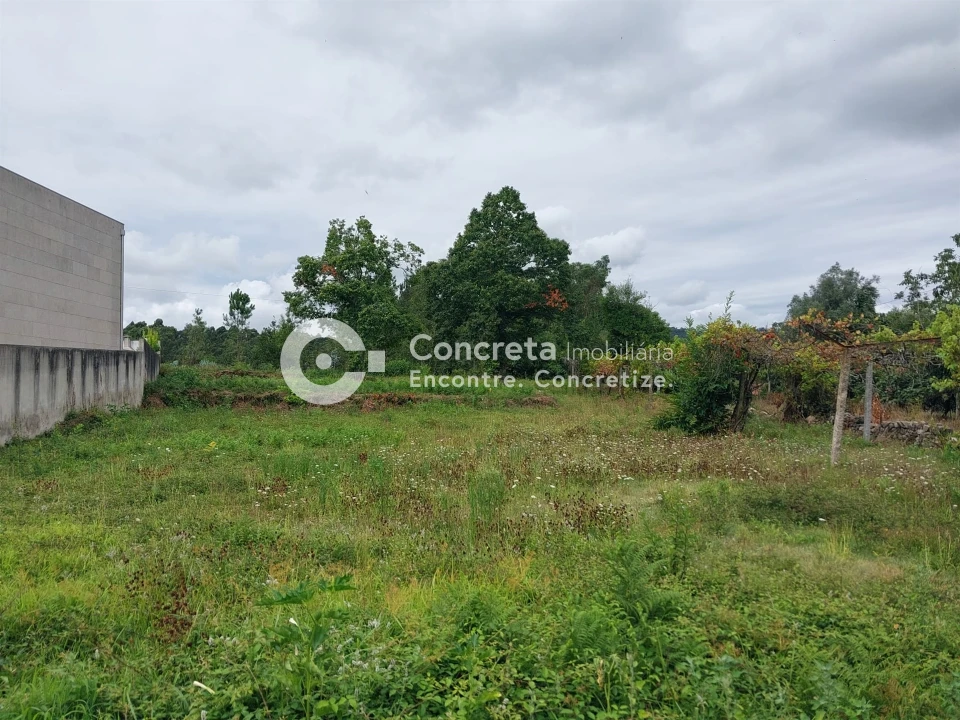 Terreno para Venda em Campo e Tamel (São Pedro Fins) Foto 5
