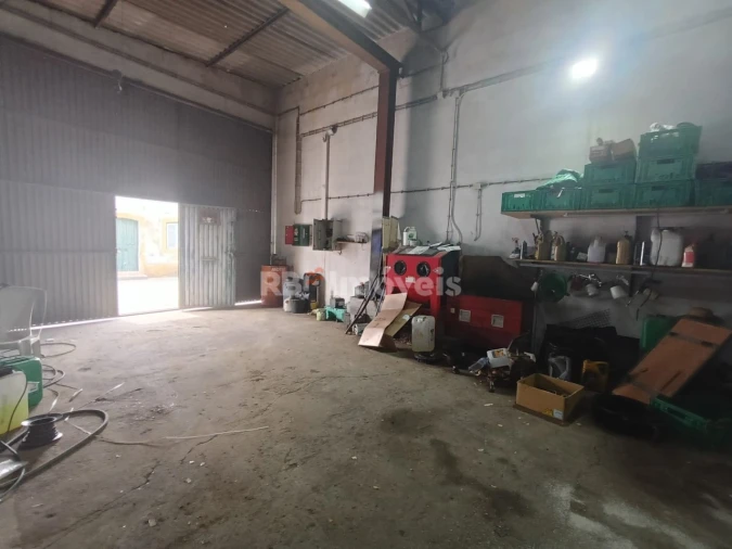 Armazém para Venda em Chamusca e Pinheiro Grande Foto 2