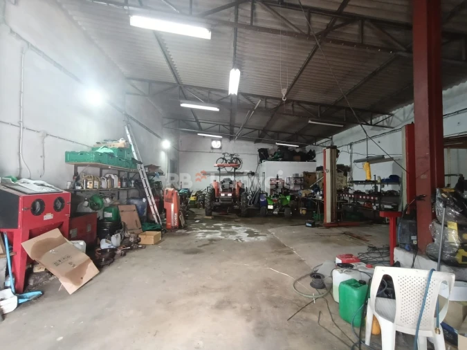 Armazém para Venda em Chamusca e Pinheiro Grande Foto 3