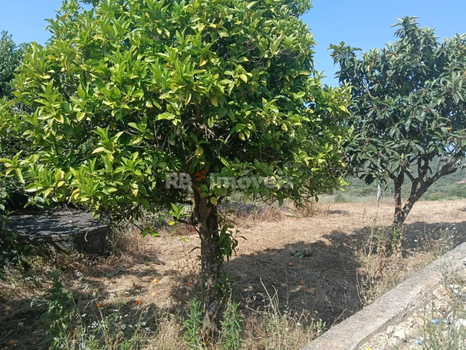 Moradia T3 para Venda em Além da Ribeira e Pedreira Foto 76