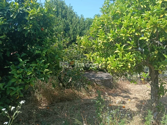 Moradia T3 para Venda em Além da Ribeira e Pedreira Foto 74