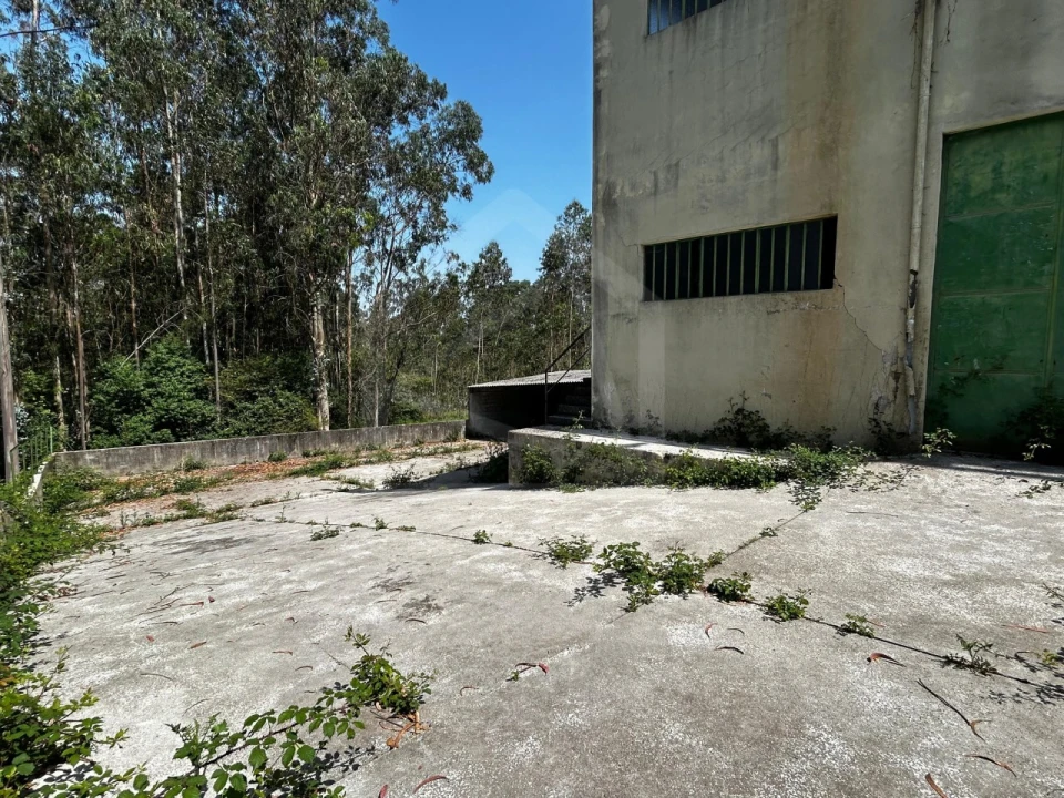 Armazém para Venda em São Martinho da Gandara Foto 11