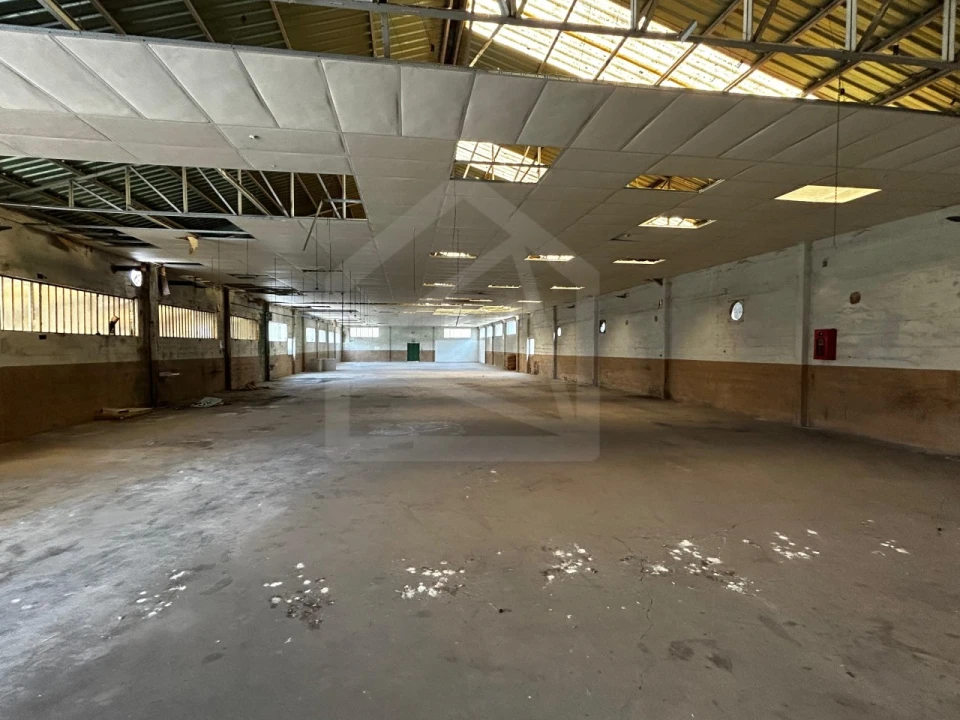 Armazém para Venda em São Martinho da Gandara Foto 15