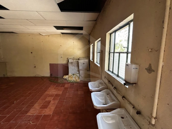 Armazém para Venda em São Martinho da Gandara Foto 23