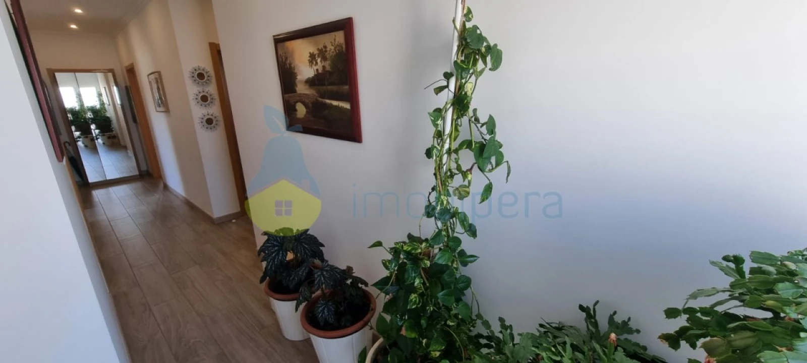 Moradia T3 para Venda em Algoz e Tunes Foto 20