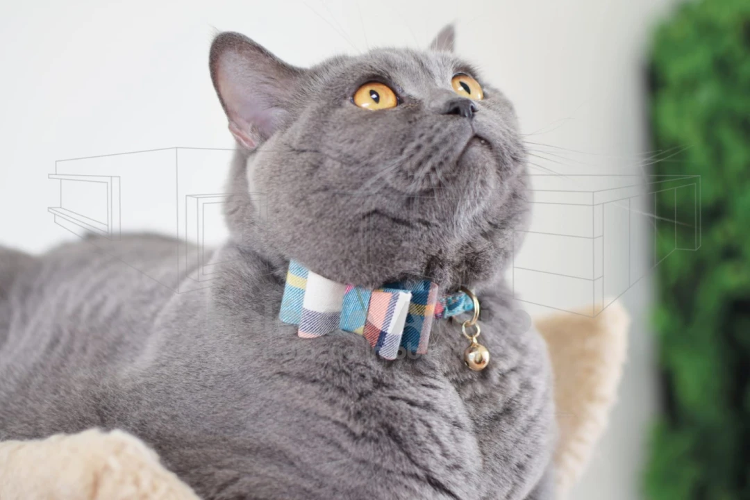 Negócio para Venda em Bustos, Troviscal e Mamarrosa Foto 4