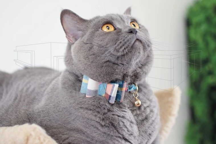 Negócio para Venda em Bustos, Troviscal e Mamarrosa Foto 4