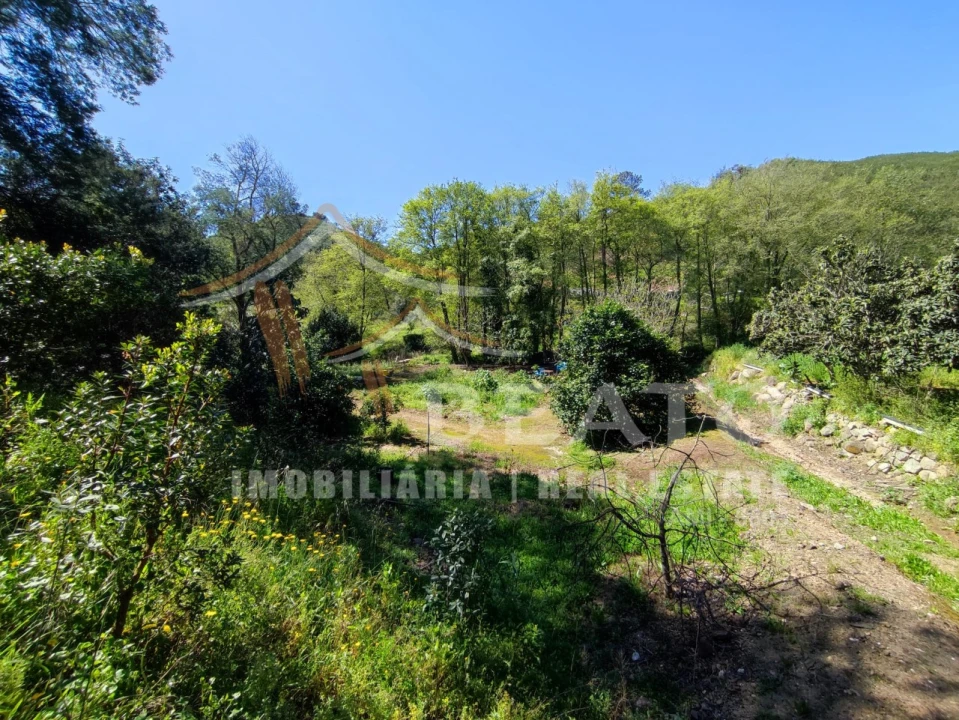 Negócio para Venda em Monchique Foto 55