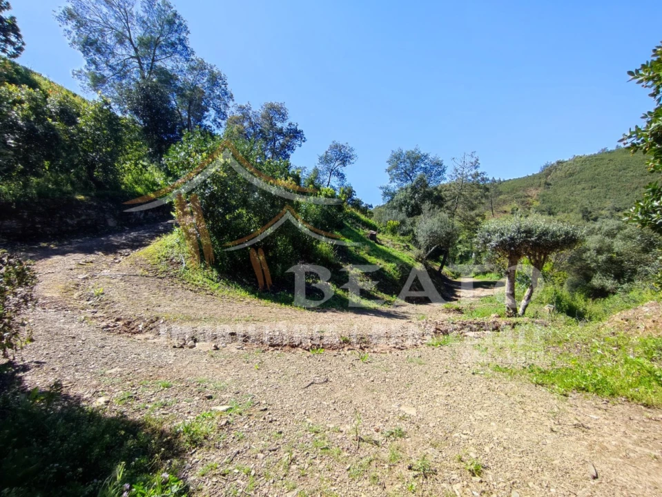 Negócio para Venda em Monchique Foto 56