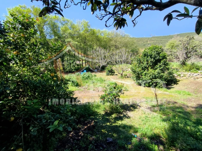 Negócio para Venda em Monchique Foto 54