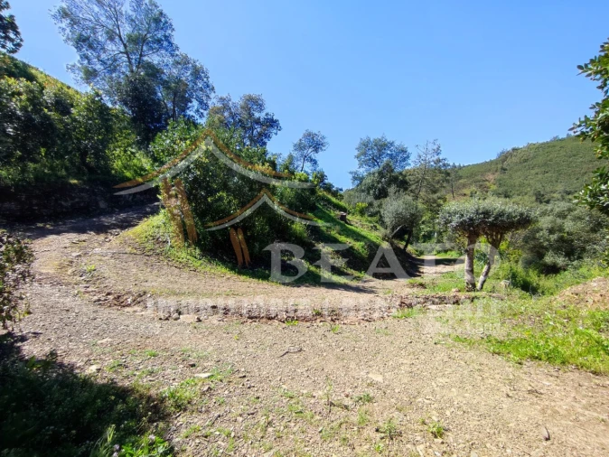 Negócio para Venda em Monchique Foto 56