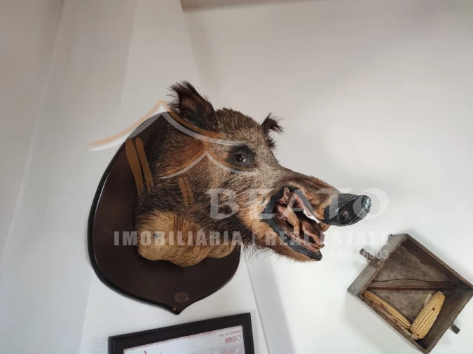 Negócio para Venda em Monchique Foto 7