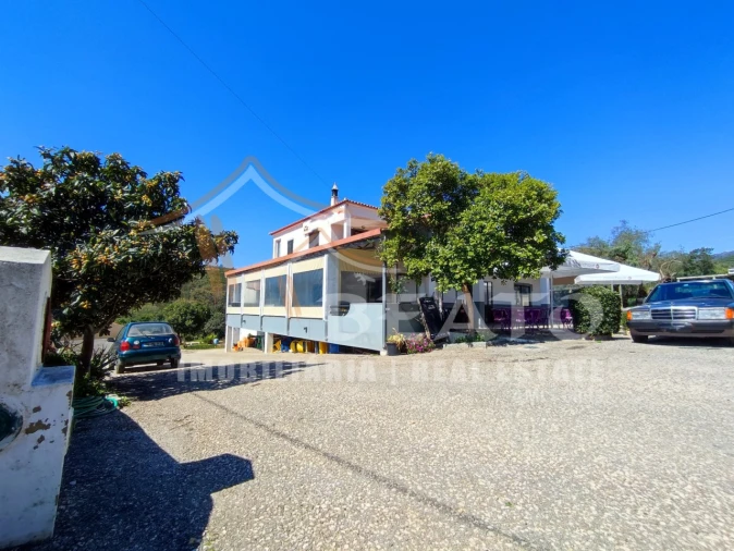 Negócio para Venda em Monchique Foto 46