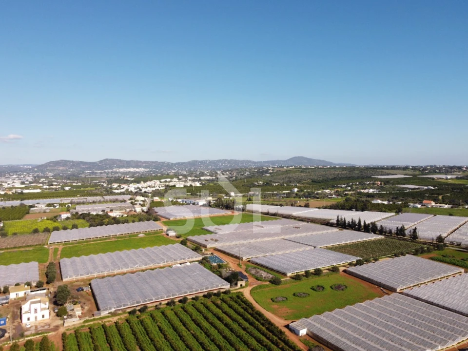 Terreno para Venda em Conceição e Estoi Foto 5