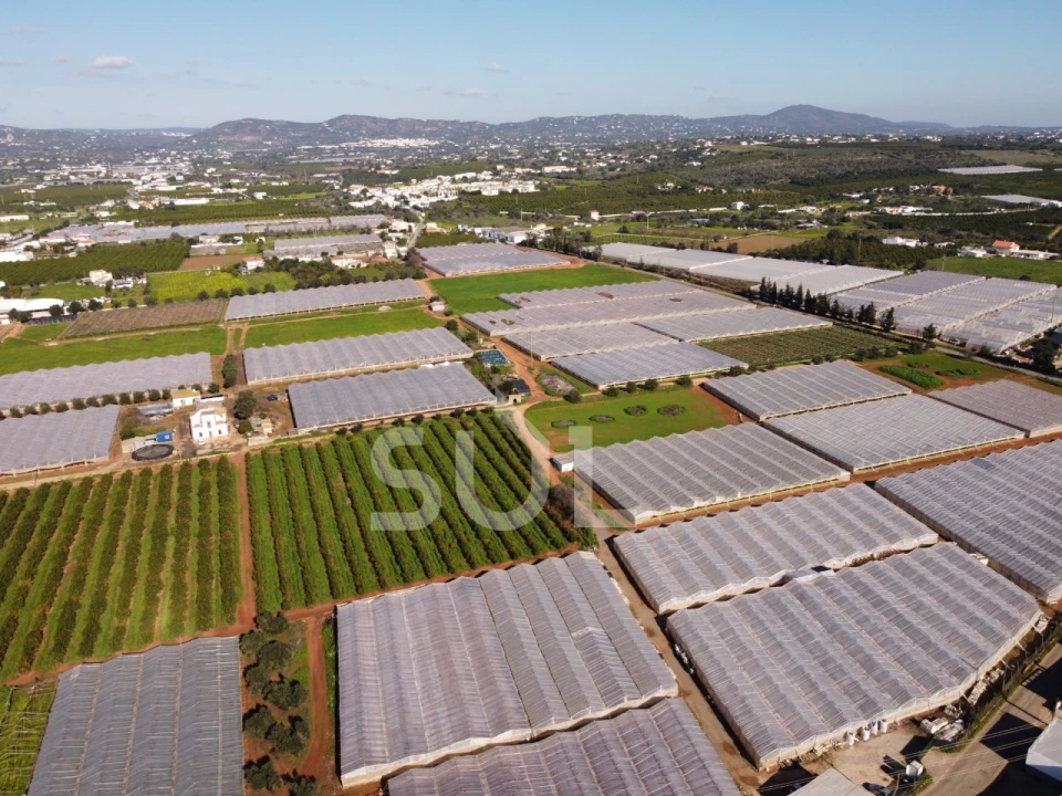 Terreno para Venda em Conceição e Estoi Foto 8
