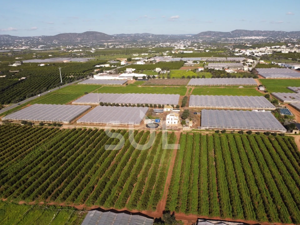 Terreno para Venda em Conceição e Estoi Foto 9