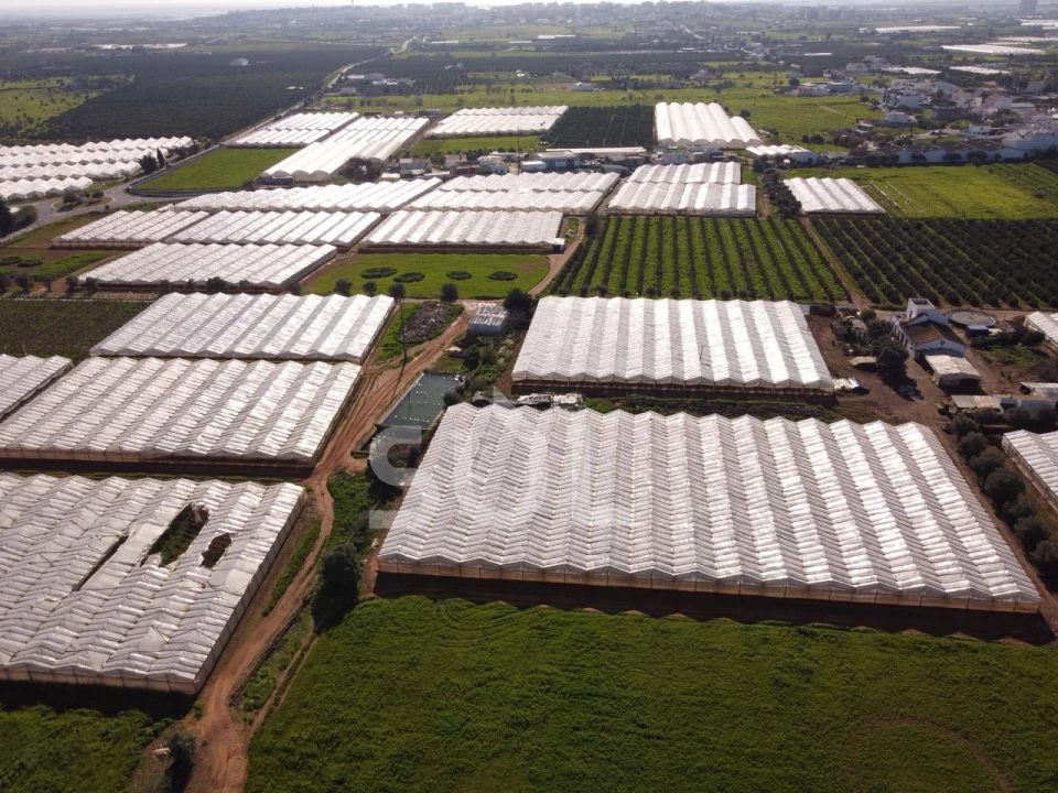 Terreno para Venda em Conceição e Estoi Foto 13