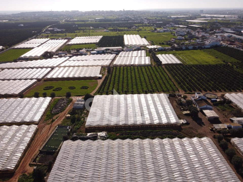 Terreno para Venda em Conceição e Estoi Foto 15