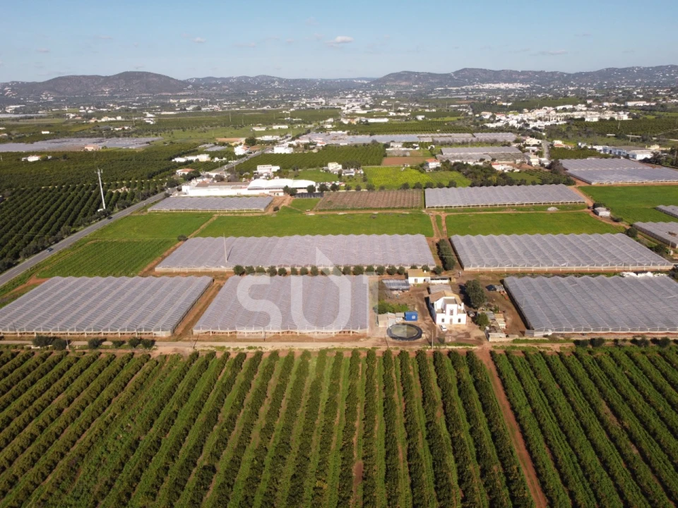 Terreno para Venda em Conceição e Estoi Foto 16