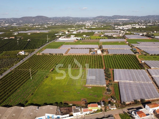 Terreno para Venda em Conceição e Estoi Foto 7