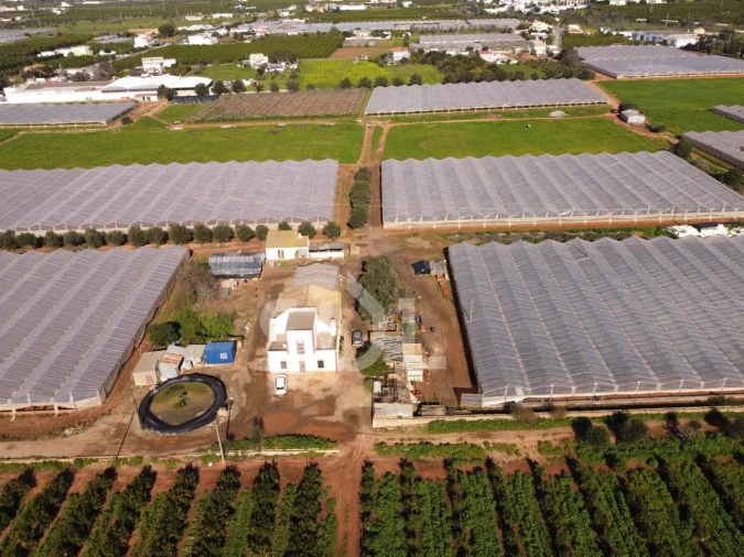 Terreno para Venda em Conceição e Estoi Foto 1