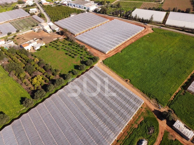 Terreno para Venda em Conceição e Estoi Foto 12